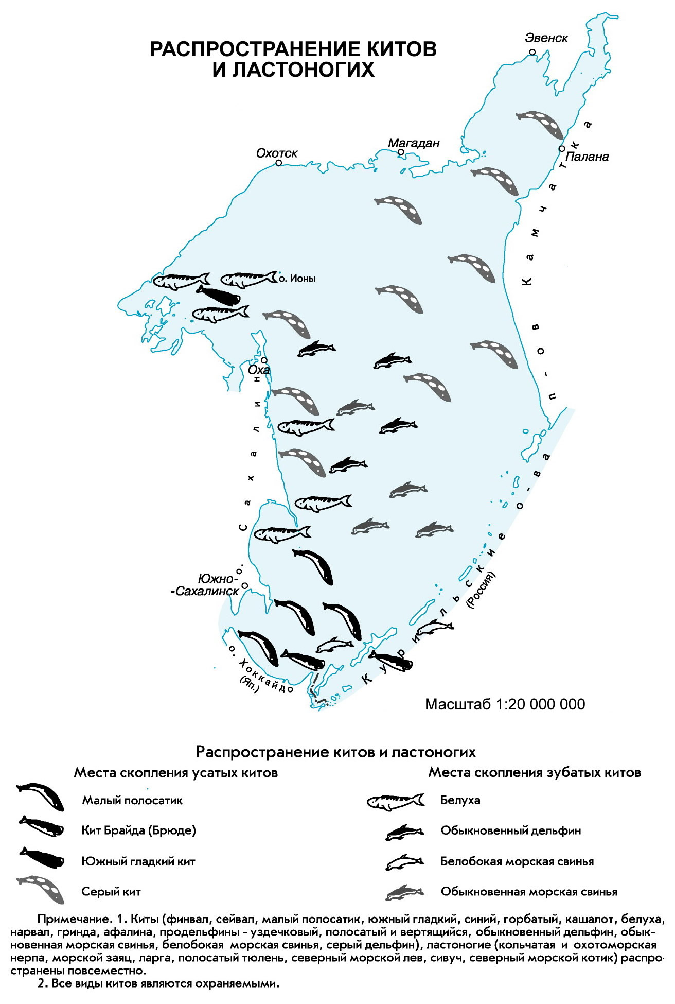 Карта течений охотского моря