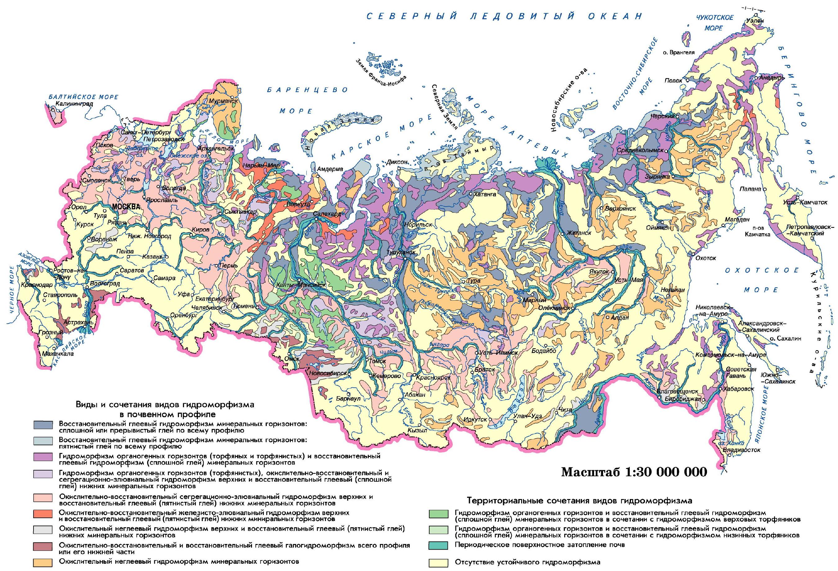 Почвы территории. Карта почв России. Гидроморфные почвы. Почвы на территории России. Гидроморфизм почв.