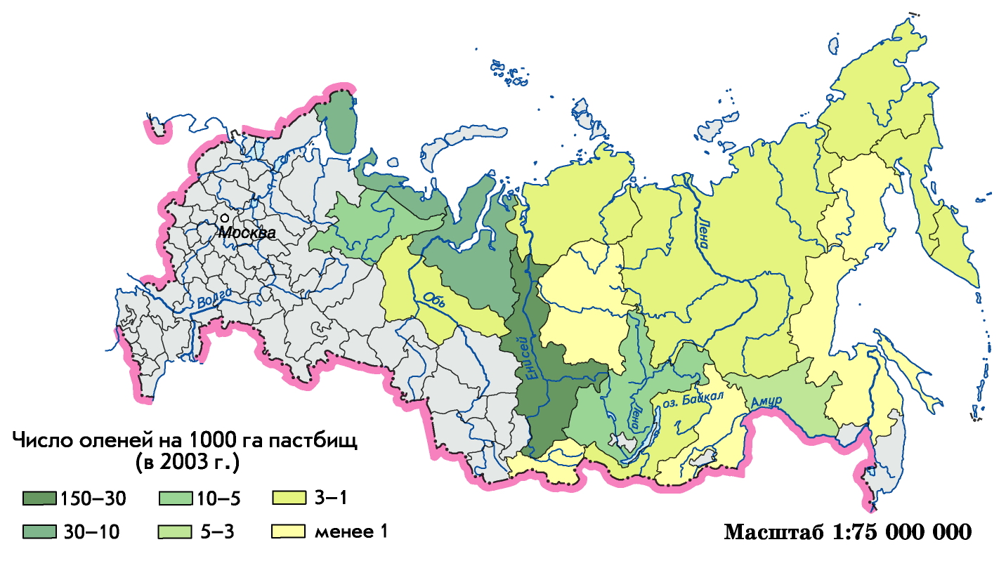 Карта распространения борщевика в россии