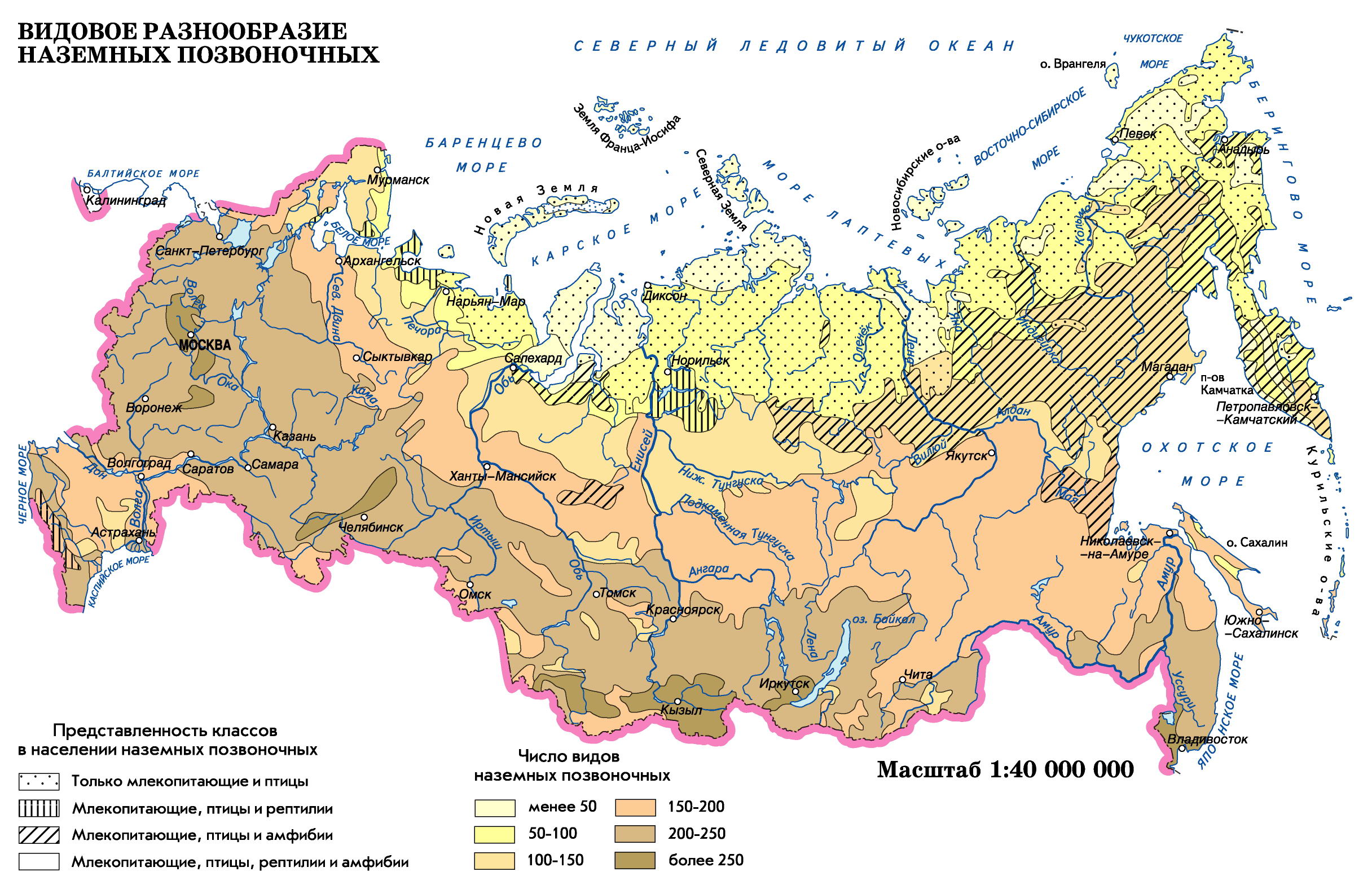 Карта млекопитающих россии