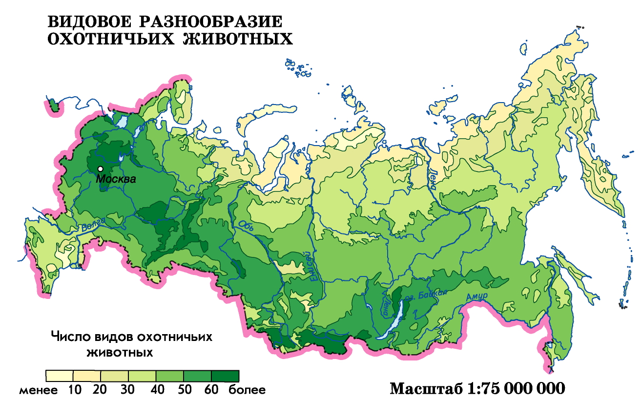 Карта охотничьих угодий республики башкортостан