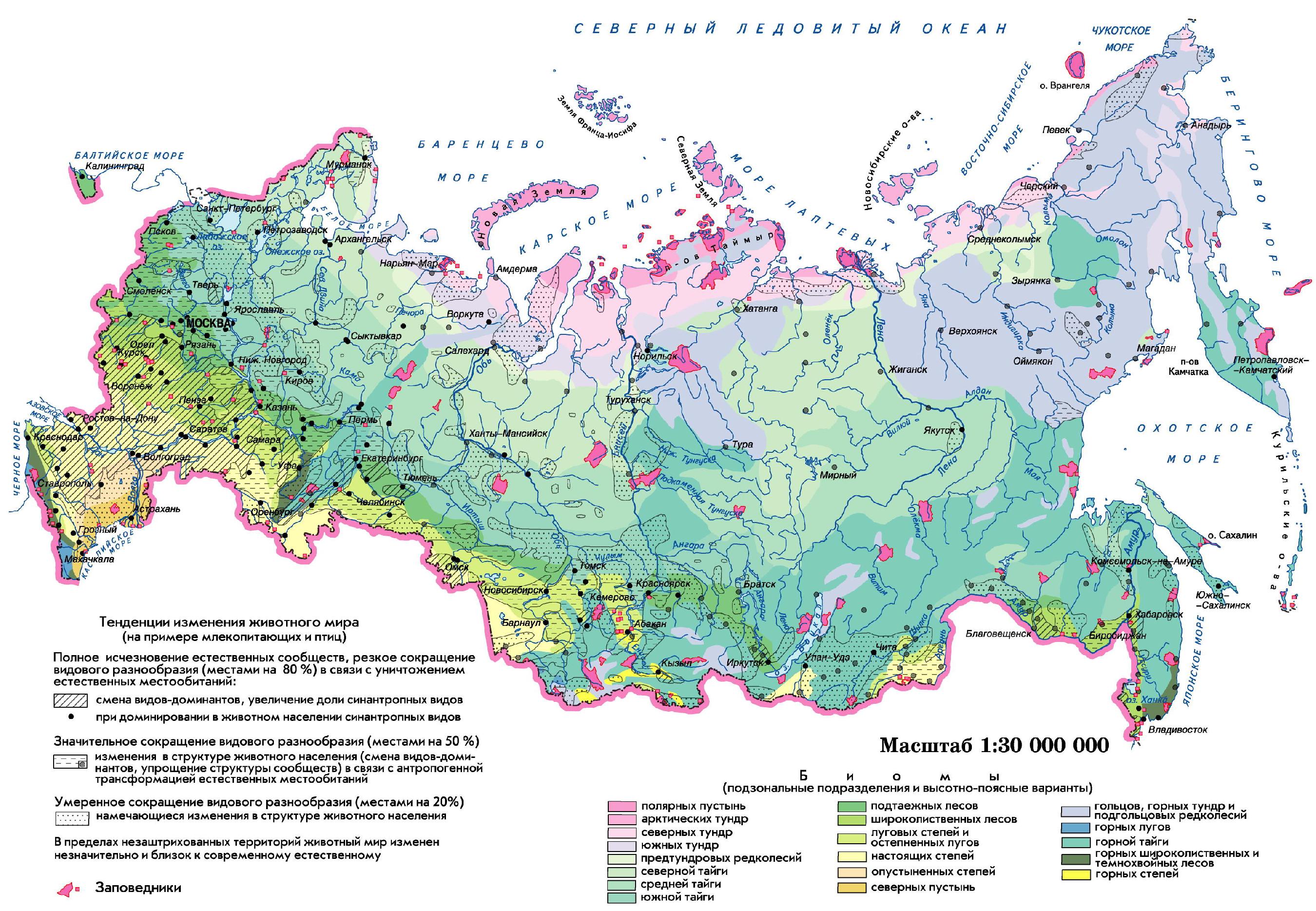 Карта природы. Животный мир России карта. Карта растительности России. Зоны обитания животных в России. Животные и растения на карте России.