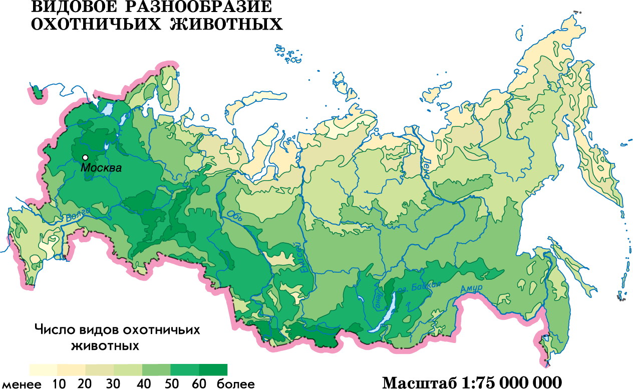 Карта животноводства россии